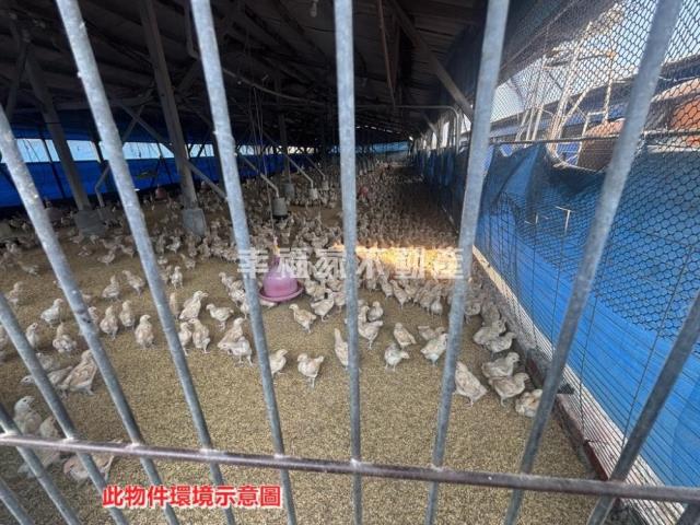 後壁畜牧設施雞舍-11