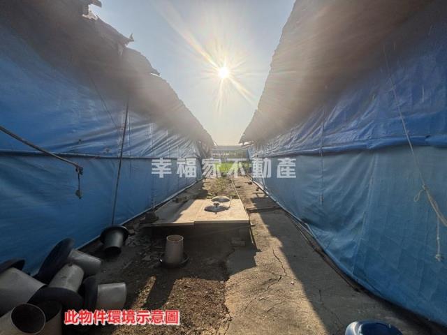 後壁畜牧設施雞舍-6