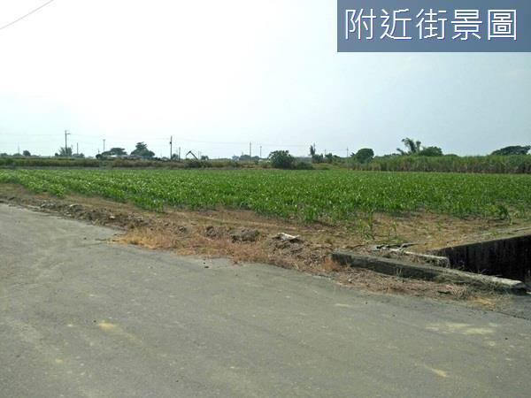 台南農地-10