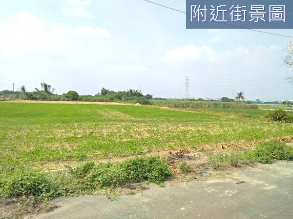 台南農地-1