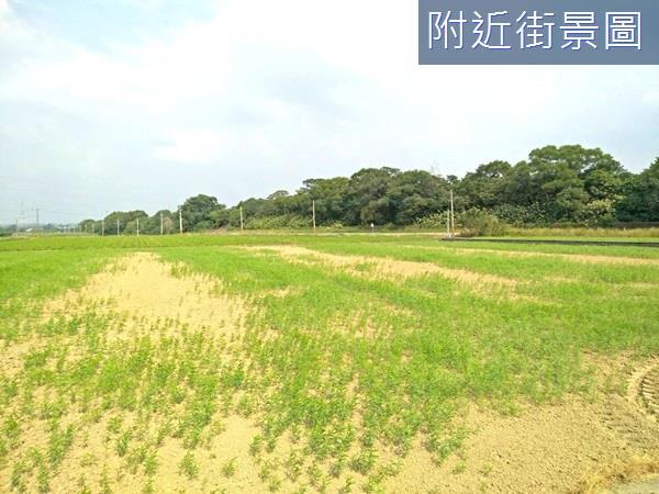 台南農地-2