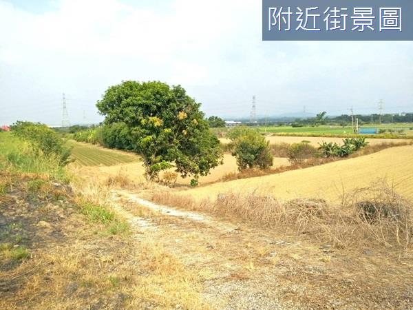 台南農地-3