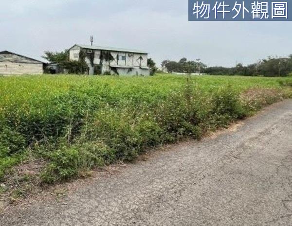 台南農地-1