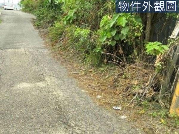 台南農地-2