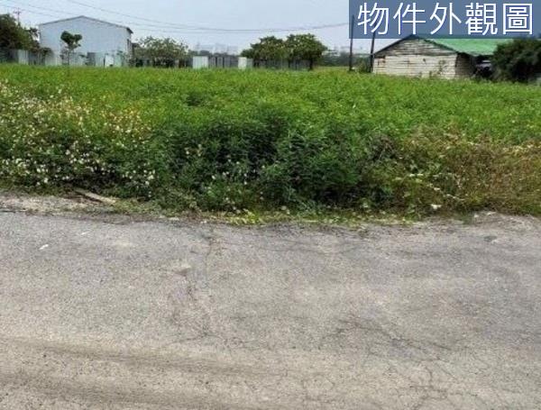 台南農地-4