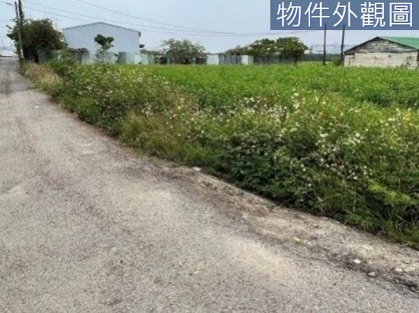 台南農地-5