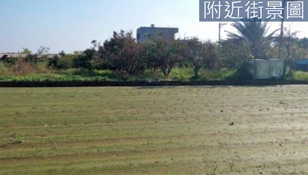 將軍建地-9