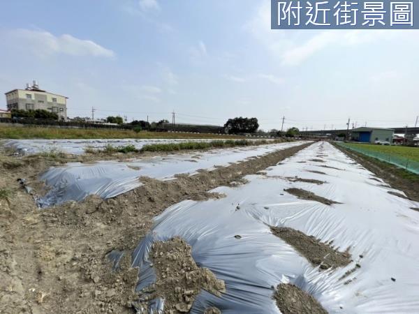 新化農地-0