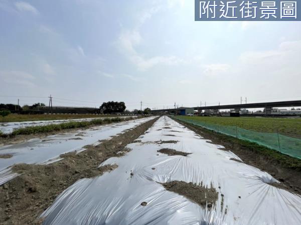 新化農地-1