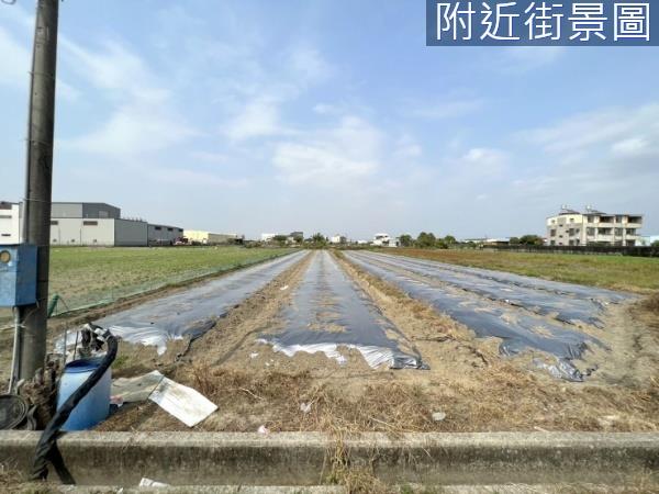 新化農地-2