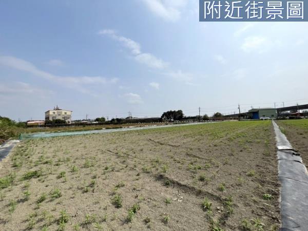 新化農地-4