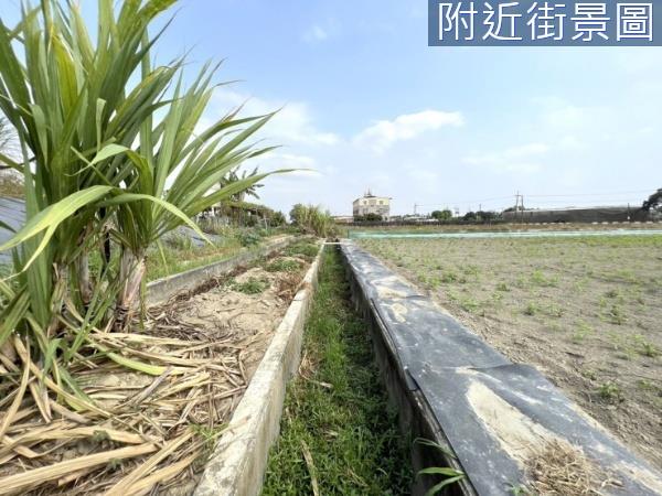 新化農地-7