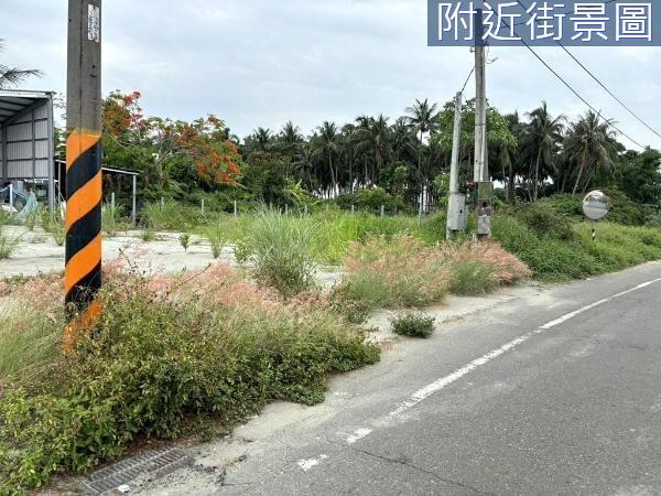 台南農地-7