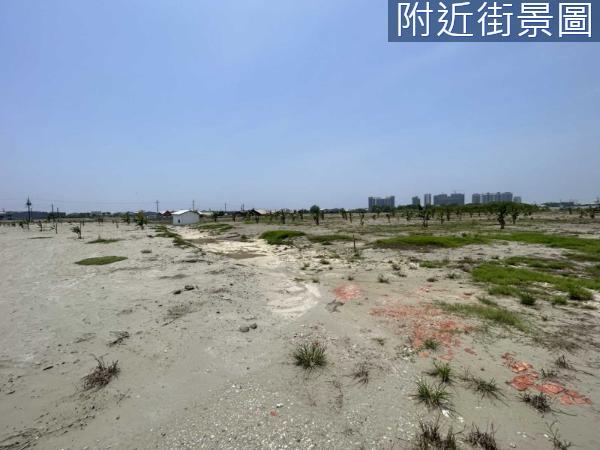 台南仁德農地-3
