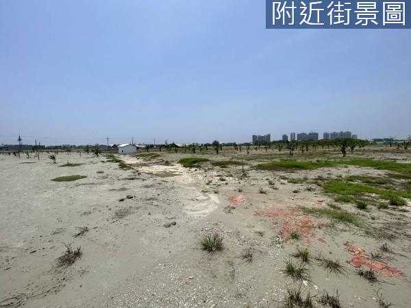 台南仁德農地-7