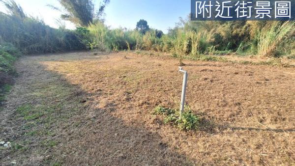 新化農地-2
