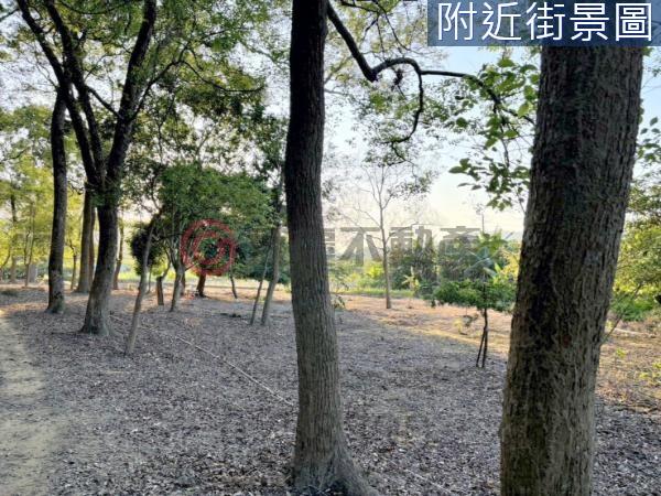 台南楠西農地-9