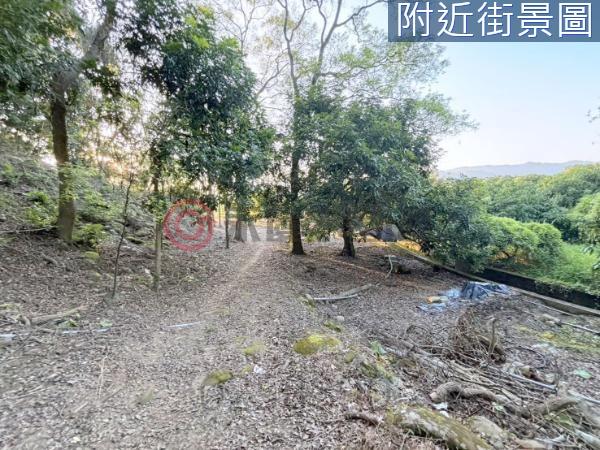 台南楠西農地-10