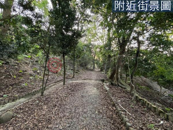 台南楠西農地-11