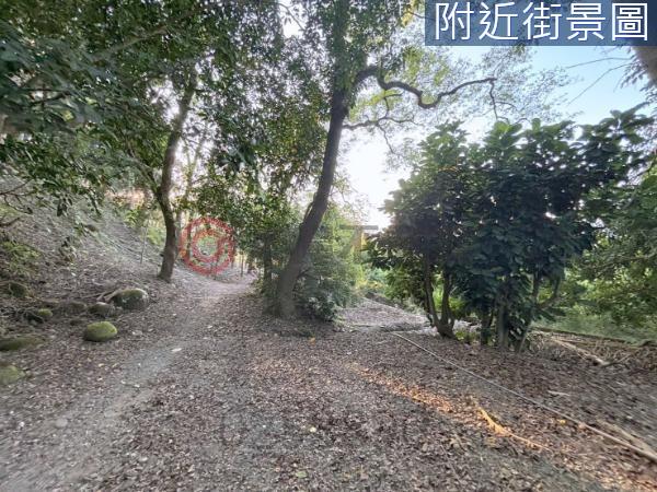 台南楠西農地-14
