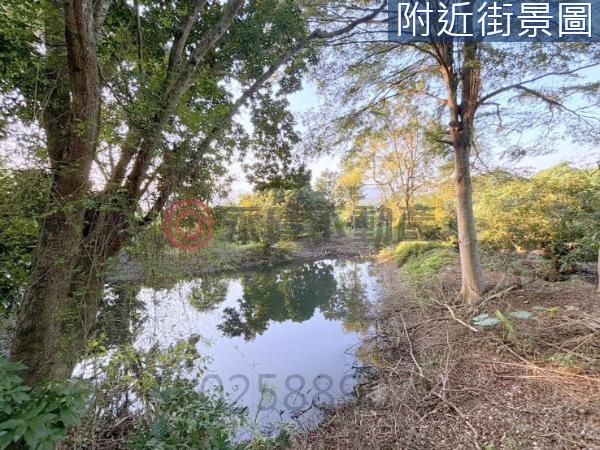 台南楠西農地-0