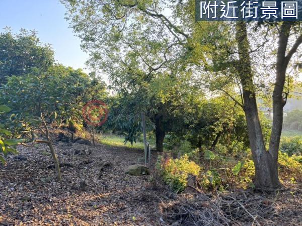 台南楠西農地-1