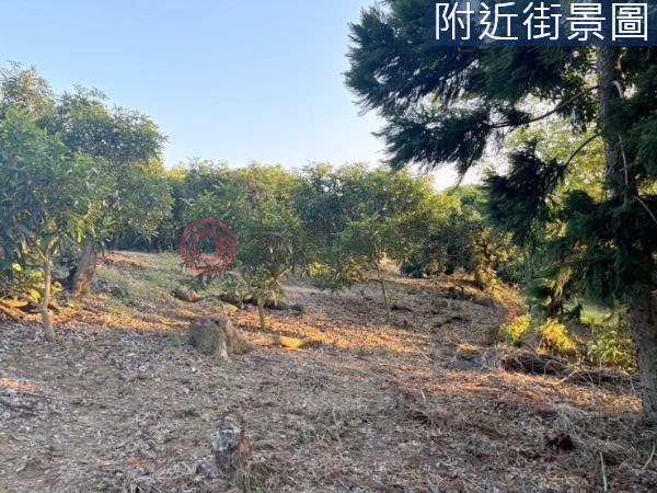 台南楠西農地-2