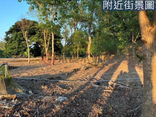 台南楠西農地-3