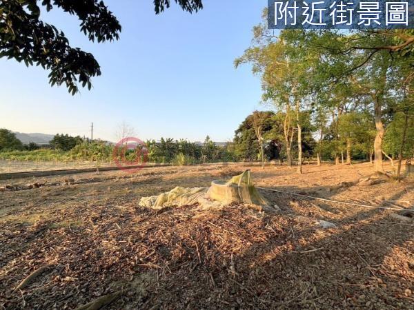 台南楠西農地-4