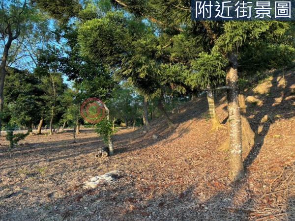 台南楠西農地-5