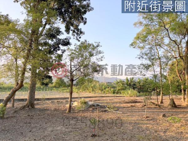 台南楠西農地-7