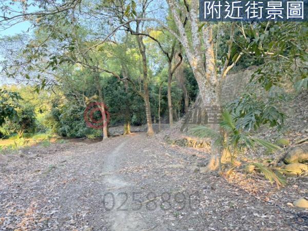台南楠西農地-8