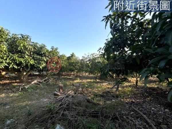 台南楠西農地-9