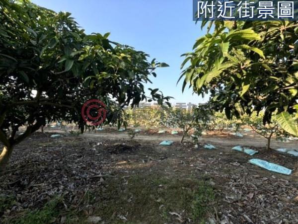 台南楠西農地-11