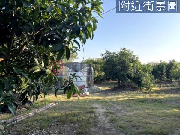 台南楠西農地-14