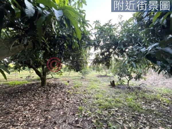 台南楠西農地-1