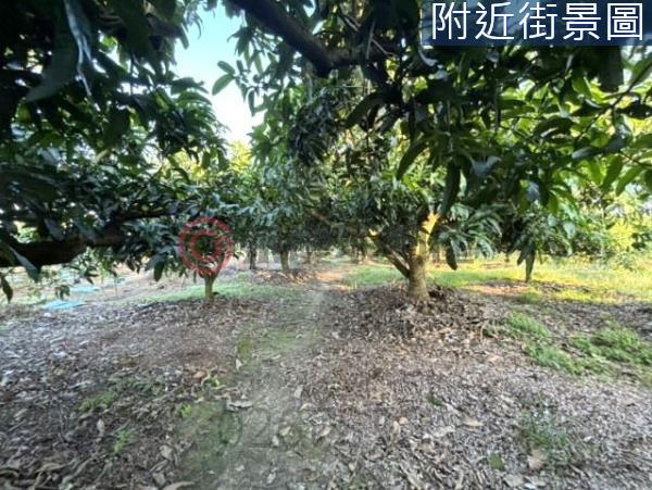 台南楠西農地-2