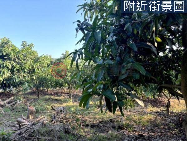 台南楠西農地-3