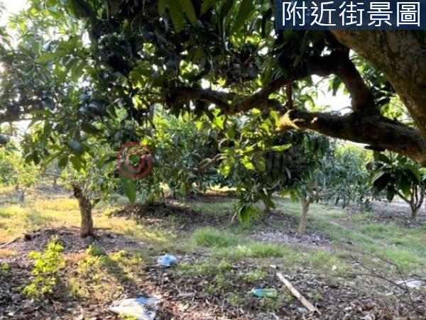 台南楠西農地-5