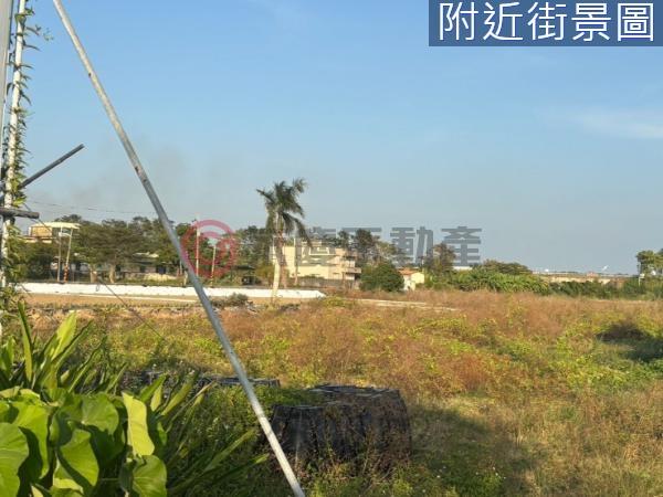 新化農地-10