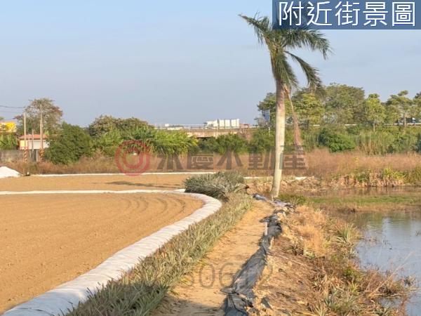 新化農地-3