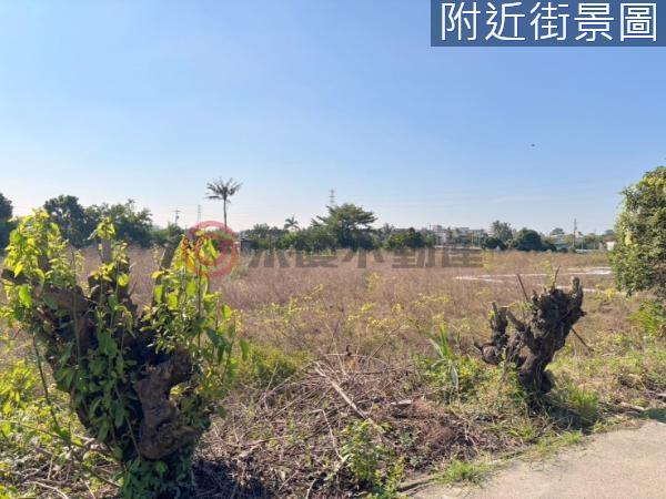 新化農地-4