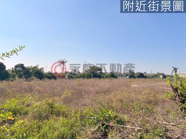 新化農地-5
