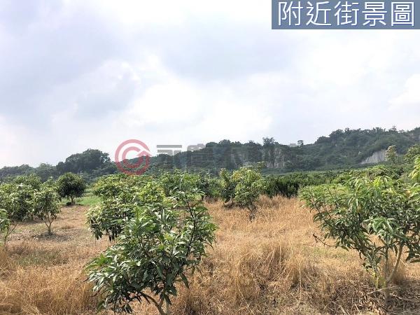 左鎮農地-1