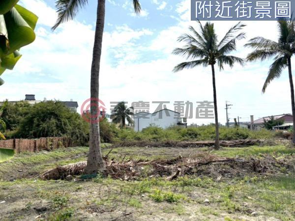 台南仁德建地-0