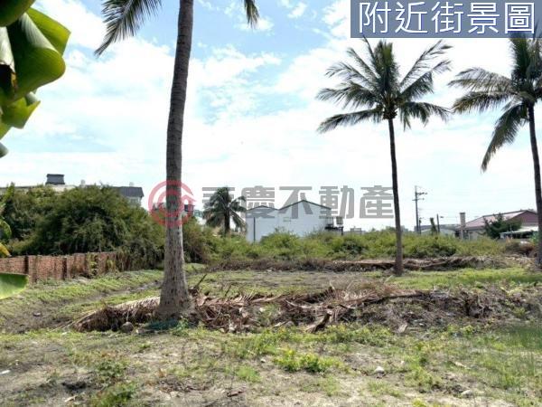 台南建地-4