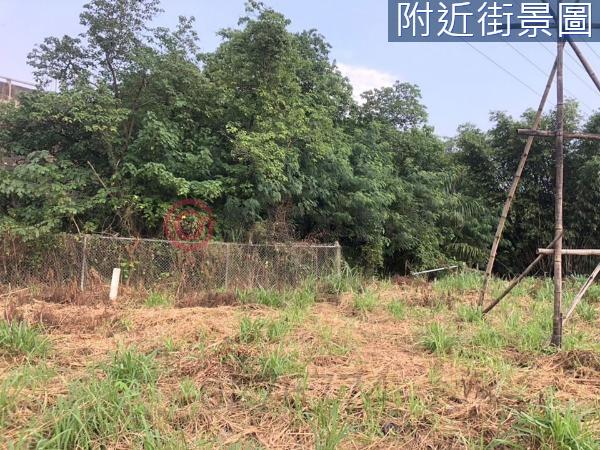 新化農地-2