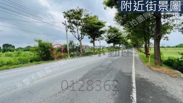 學甲農地-7