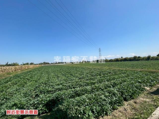 台南新化農地-9