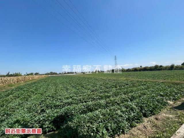 台南新化農地-1